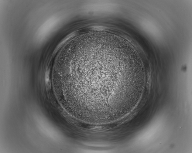 X0000091241198200708161730
