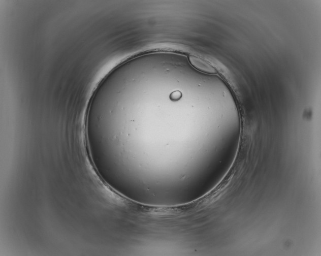 X0000091241199200708161730