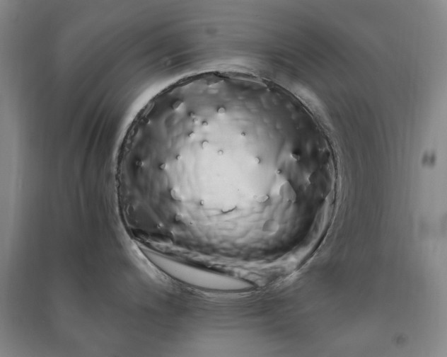 X0000091241200200708161730