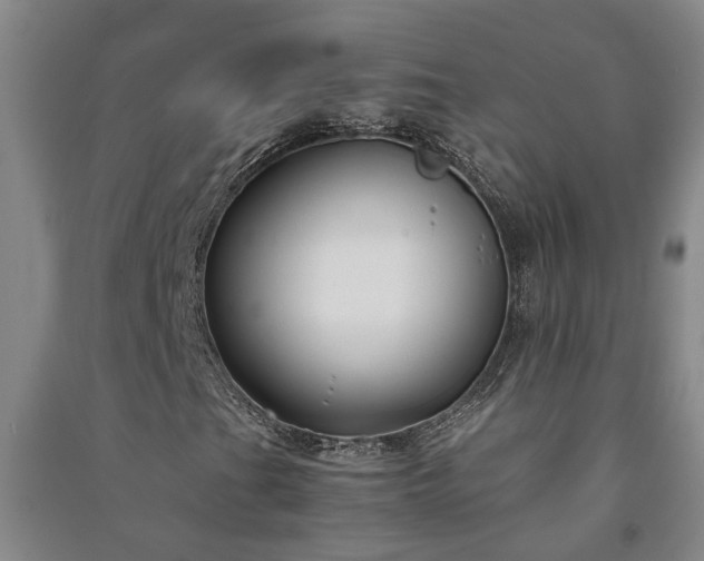 X0000091241201200708161729