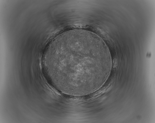X0000091241202200708161729