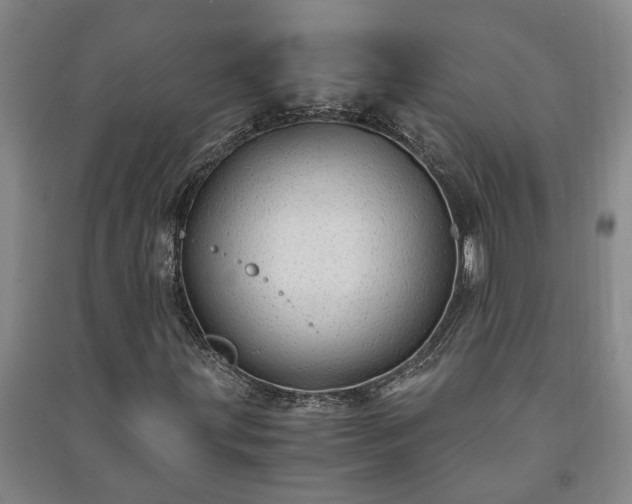 X0000091241203200708161729