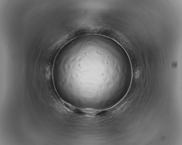 X0000091241204200708161729