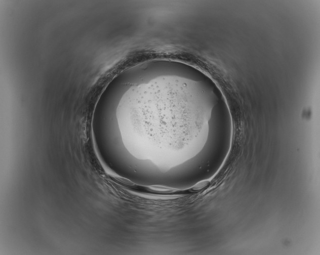 X0000091241205200708161729