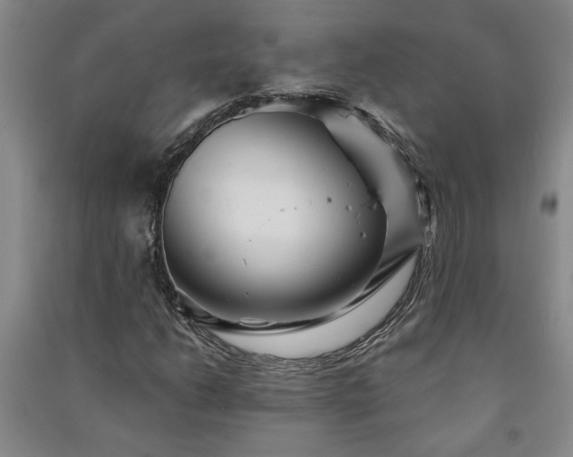 X0000091241206200708161729