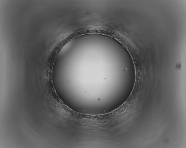 X0000091241207200708161729