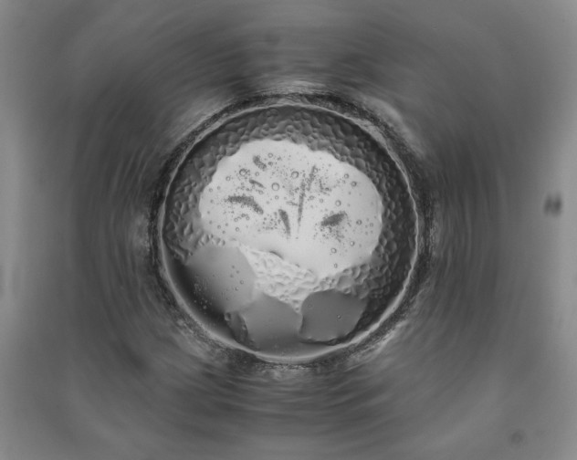X0000091241209200708161729