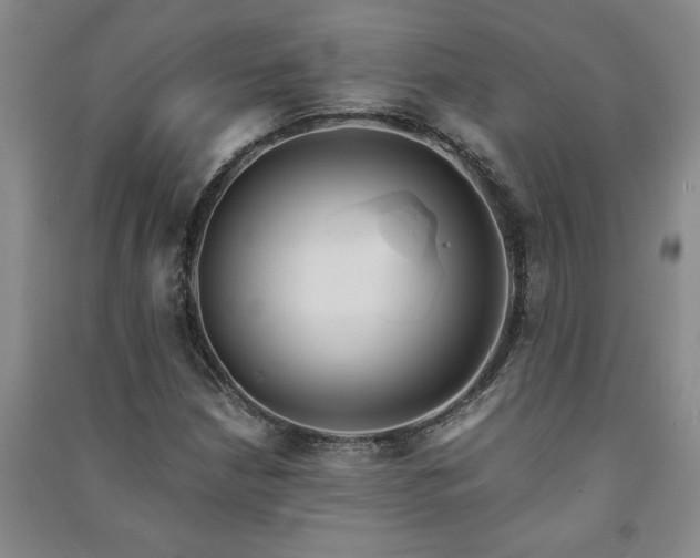 X0000091241210200708161729