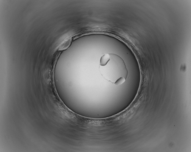 X0000091241211200708161729