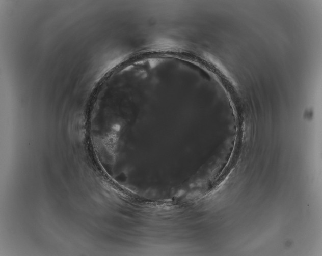 X0000091241213200708161729
