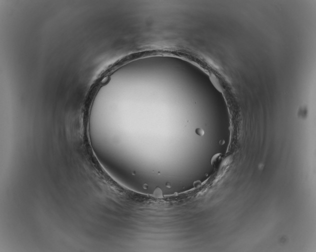 X0000091241214200708161729