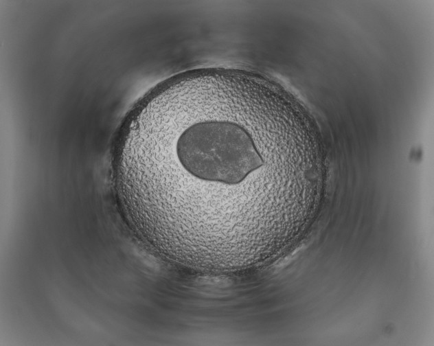 X0000091241215200708161729
