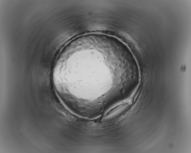 X0000091241217200708161729