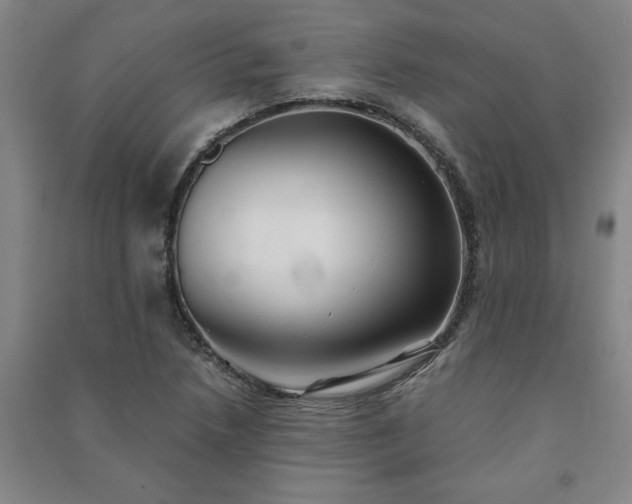 X0000091241218200708161729