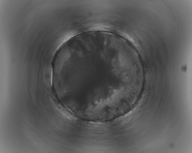X0000091241219200708161729