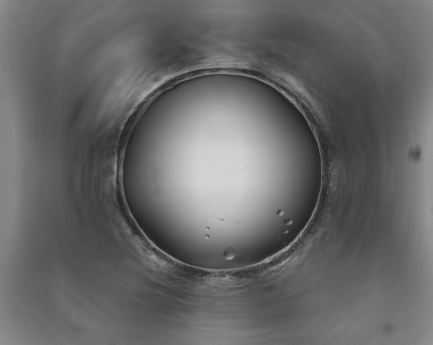 X0000091241220200708161730