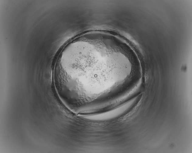 X0000091241221200708161730