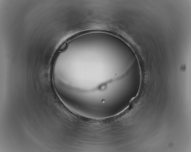 X0000091241222200708161730