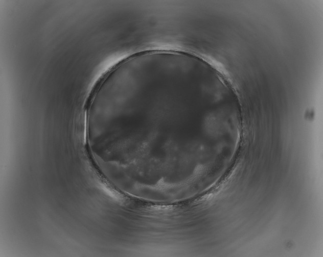 X0000091241223200708161730