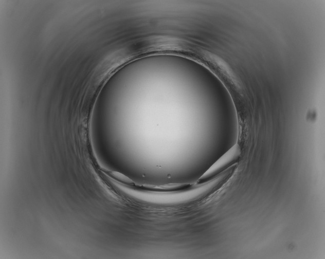 X0000091241225200708161730