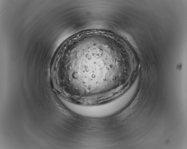 X0000091241226200708161730