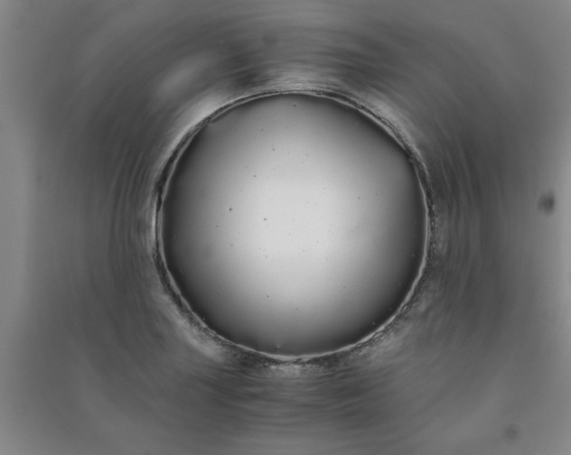 X0000091241227200708161730