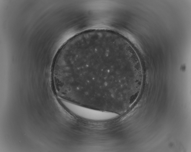 X0000091241229200708161730