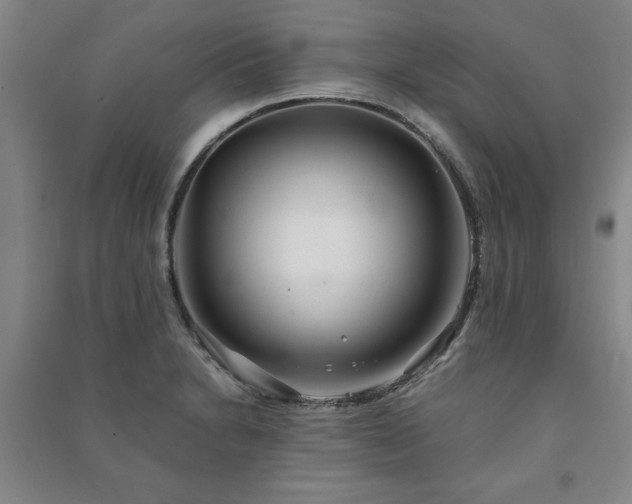 X0000091241230200708161730