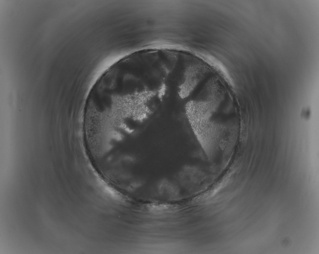 X0000091241231200708161730