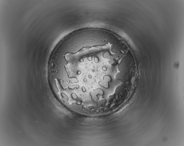 X0000091241232200708161730