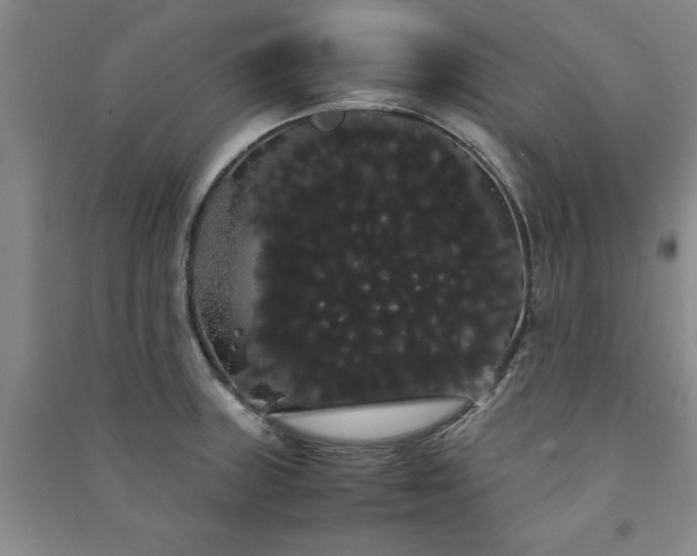 X0000091241235200708161730