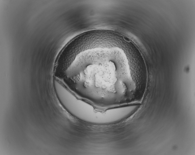 X0000091241236200708161730