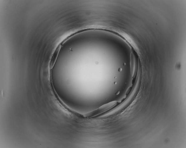 X0000091241238200708161730