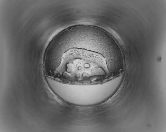 X0000091241240200708161730