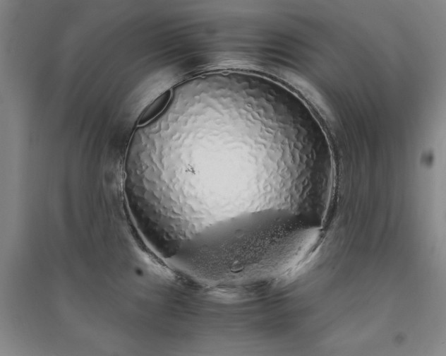 X0000091241241200708161730