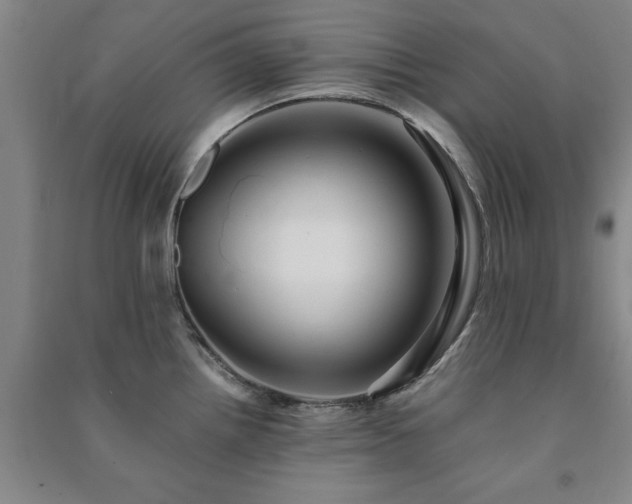 X0000091241242200708161730