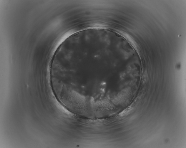 X0000091241243200708161730