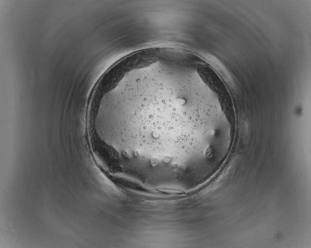 X0000091241244200708161730