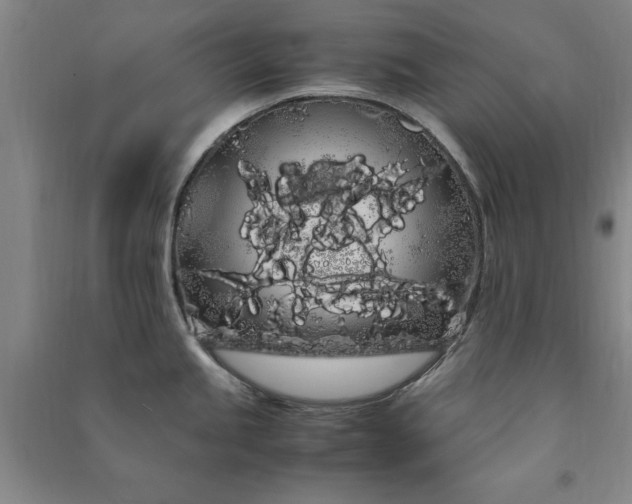 X0000091241245200708161730