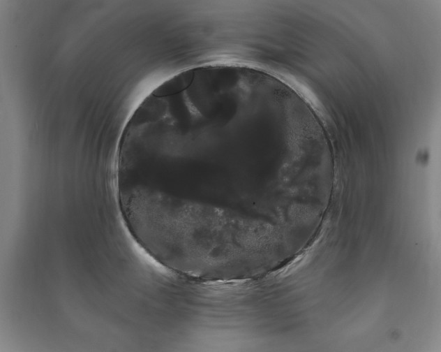 X0000091241247200708161730