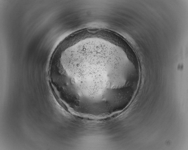 X0000091241248200708161730