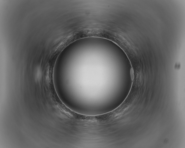 X0000091241250200708161729
