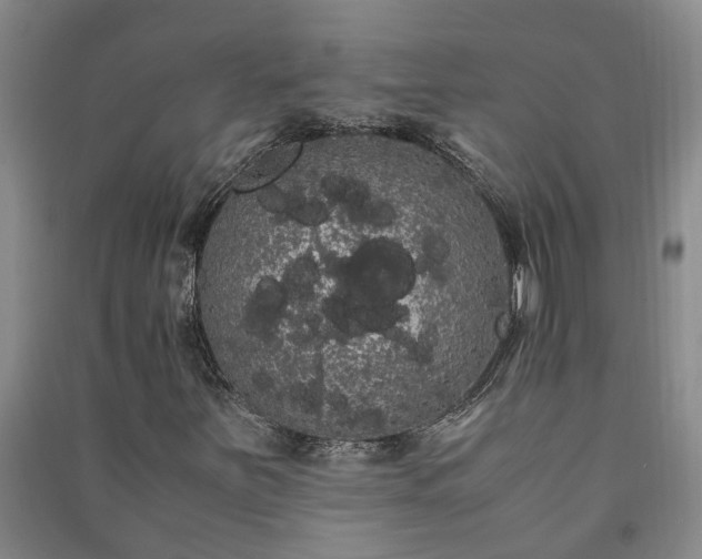X0000091241251200708161729