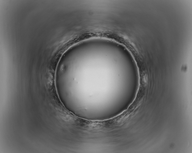 X0000091241253200708161729