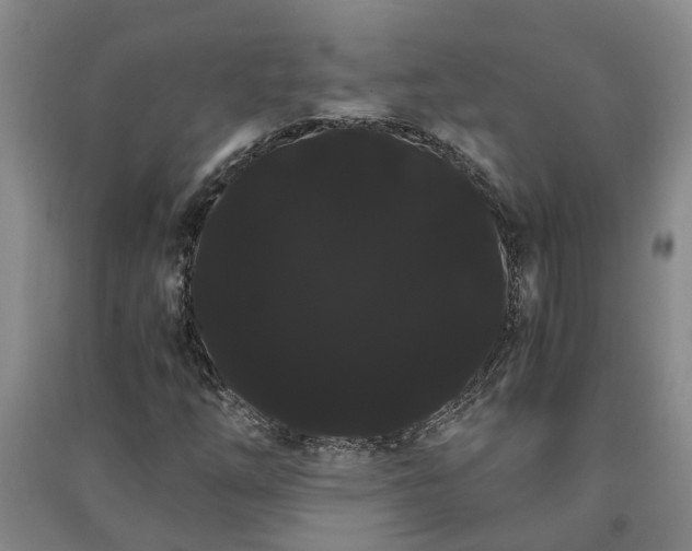 X0000091241254200708161729