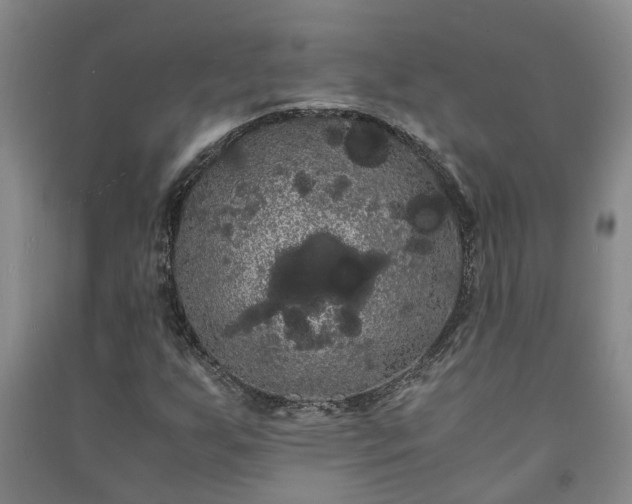 X0000091241255200708161729