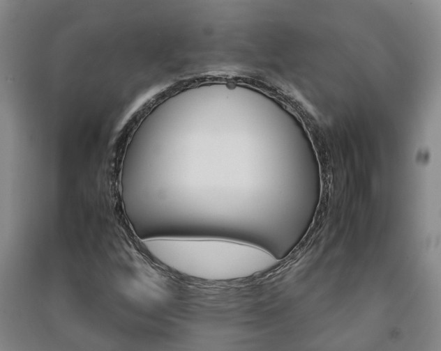 X0000091241256200708161729