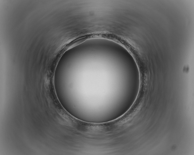 X0000091241257200708161729