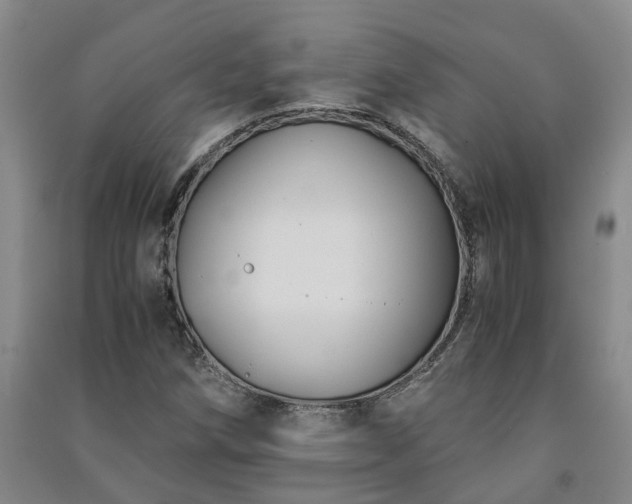 X0000091241258200708161729