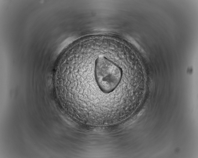 X0000091241259200708161729